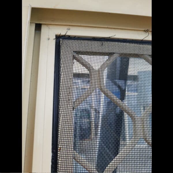 Sliding Window - 2060h x 1810w Primrose w/ Clear Glass *2nd hand* 45963 - Image 2